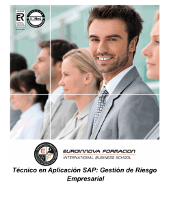 Técnico en Aplicación SAP: Gestión de Riesgo
