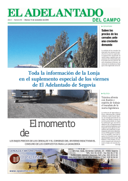 Lonja - El Adelantado de Segovia