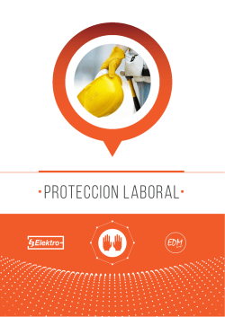 proteccion laboral