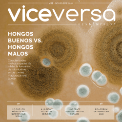 descargar - Revista Viceversa
