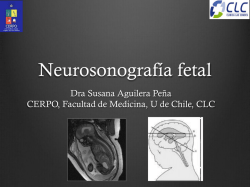 Neurosonografía fetal