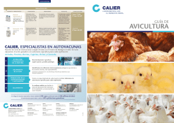 calier. guia avicultura