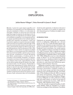 Diplopoda (PDF Available)