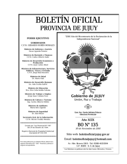 boletin oficial 135 - Boletín Oficial de la Provincia de Jujuy