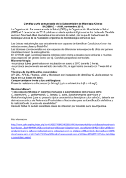 Candida auris - Asociación Argentina de Microbiología