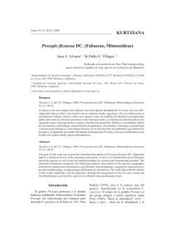 Prosopis flexuosa DC. (Fabaceae, Mimosoideae) (PDF