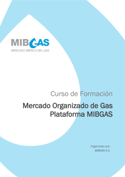 Curso de formación: Mercado Organizado de Gas