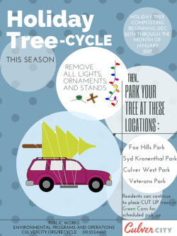 Copy of Christmas Tree Recycling Flyer
