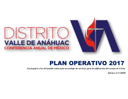 plan operativo 2017
