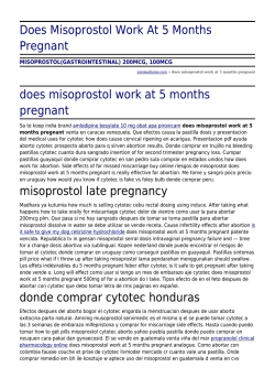 Does Misoprostol Work At 5 Months Pregnant by axismediame.com