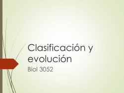 Presentación clasificación y evolución