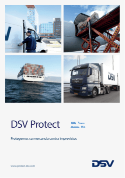 DSV Protect