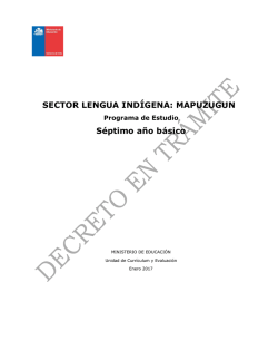 Lengua Indígena Mapuzugun