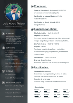CV/PDF - Luis Abad