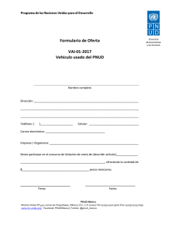 Formato de Oferta - UNDP | Procurement Notices