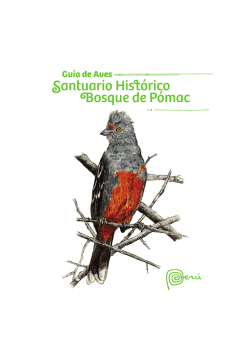 Guía de aves: Santuario Histórico Bosque de Pómac (PDF
