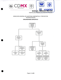 Organigrama gráfico de la Dirección General de Auditoría