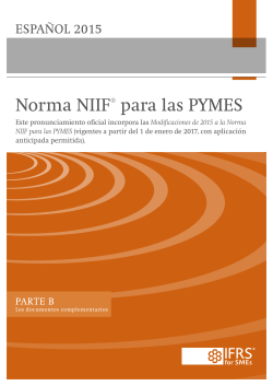 98200 IFRS for SMEs BV spanish Part B Website