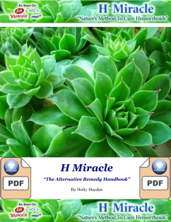 Hemorrhoid Miracle PDF EBook Holly Hayden Download Free Report