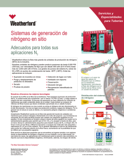 4014_OS Nitrogen Serv_Spanish.cdr - Weatherford