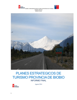 Informe 1 Diagnóstico - Ilustre Municipalidad de Antuco