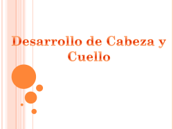 Embriolog&iacute;a de cabeza, cara y cuello 4.pdf - cmuch