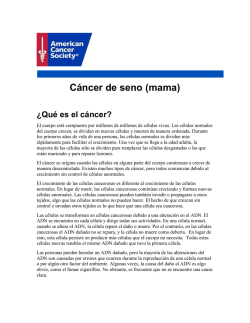 Cáncer de seno (mama) - American Cancer Society