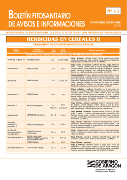 Bolet&iacute;n 13