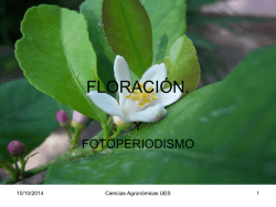 FLORACIÓN. - Agronomía