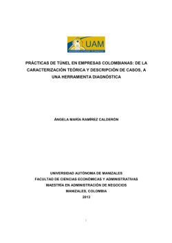 PRÁCTICAS DE TÚNEL EN EMPRESAS COLOMBIANAS.pdf
