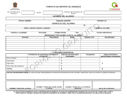 FORMATO DE REPORTE DE INGRESOS NOMBRE DEL ALUMNO