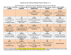 Maternal - Instituto de las Américas Bilingüe Plantel Vallarta