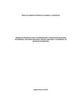 T&eacute;rminos de Referencia_593 - Bancoldex
