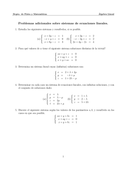 Ejercicios adicionales (Matrices, determinantes, sistemas lineales)
