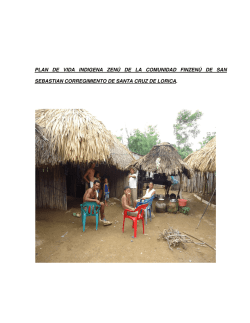 plan de vida indigena zen&uacute; de la comunidad finzen&uacute; de san