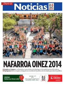 Nafarroa Oinez 2014 - Diario de Noticias