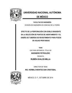 UNIVERSIDAD NACIONAL AUT&Oacute;NOMA DE M&Eacute;XICO - UNAM