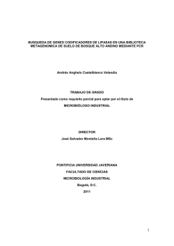 1 BUSQUEDA DE GENES CODIFICADORES DE LIPASAS EN UNA