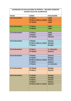 calendario de evaluaciones de síntesis - Colegio Valle del Aconcagua