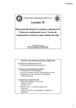 Obturaci&oacute;n con condensaci&oacute;n vertical y onda contin&uacute;a de calor.