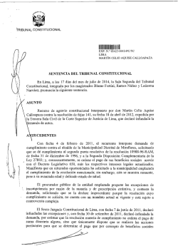 1111111 IIV111111l11 - Tribunal Constitucional del Perú