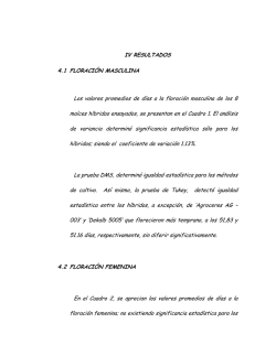 IV RESULTADOS (13).pdf