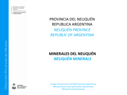 Diapositiva 1 - Subsecretaría de Minería e Hidrocarburos