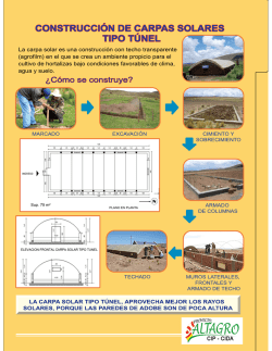 Construcción de carpas solares tipo tunel.pdf