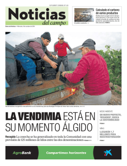 del campo - Diario de Noticias