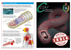 32 - Virus del Ébola.pdf - Csi-f