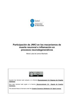 Participación de JNK3 en los mecanismos de muerte neuronal e