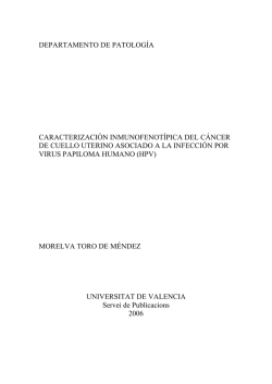 DOC 566 PREVALIDADOR 1732 Y NADA DE CREE.pdf