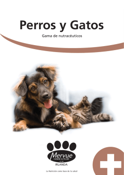 New presenza 08 copia.indd