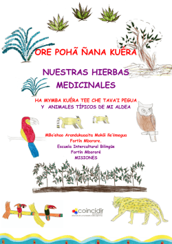 Noticias del 20 de Marzo de 2015